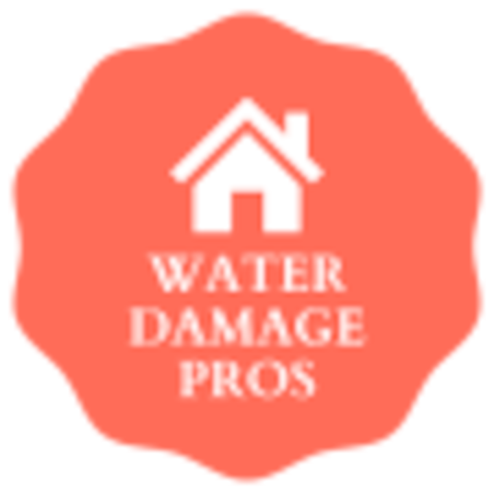 water damage pros logo San Pedro